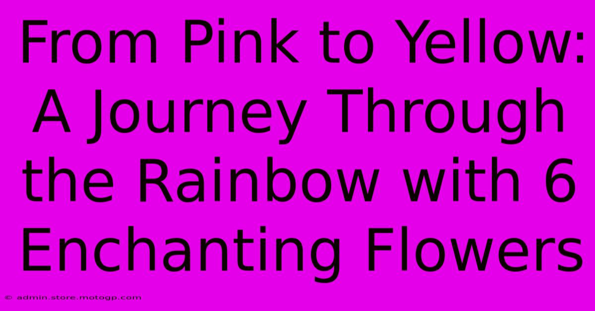 From Pink To Yellow: A Journey Through The Rainbow With 6 Enchanting Flowers