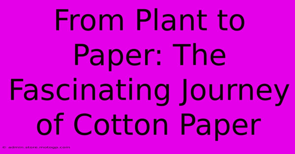 From Plant To Paper: The Fascinating Journey Of Cotton Paper