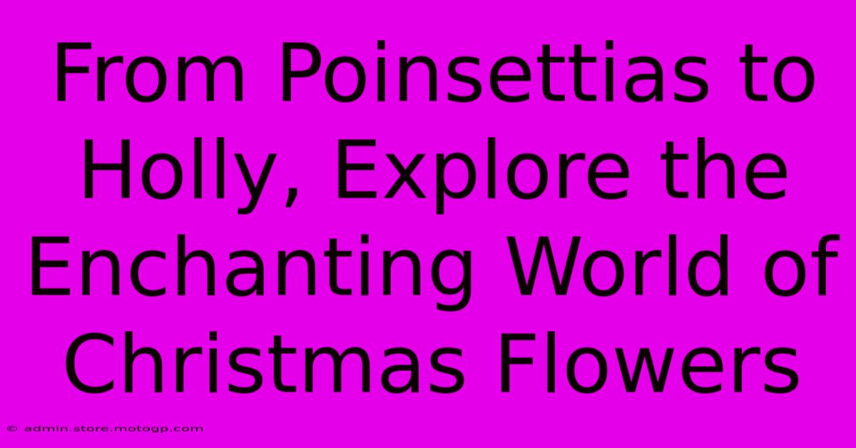 From Poinsettias To Holly, Explore The Enchanting World Of Christmas Flowers