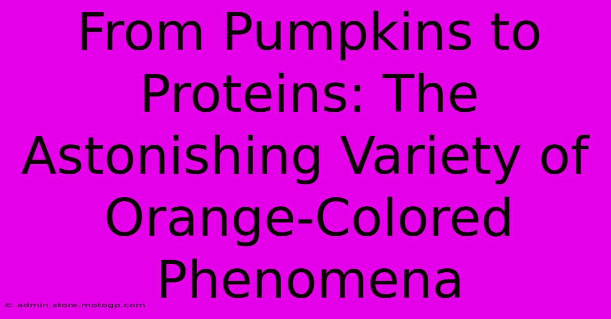 From Pumpkins To Proteins: The Astonishing Variety Of Orange-Colored Phenomena