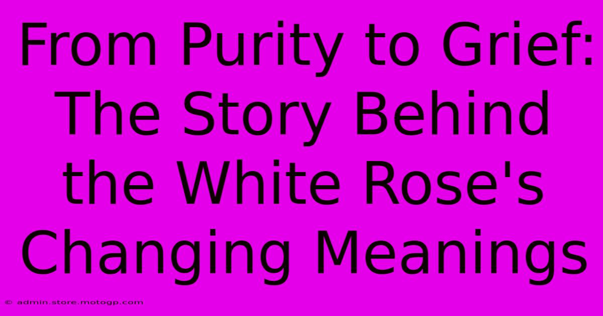 From Purity To Grief: The Story Behind The White Rose's Changing Meanings