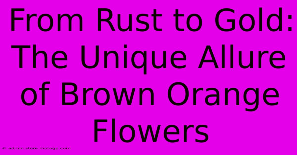 From Rust To Gold: The Unique Allure Of Brown Orange Flowers