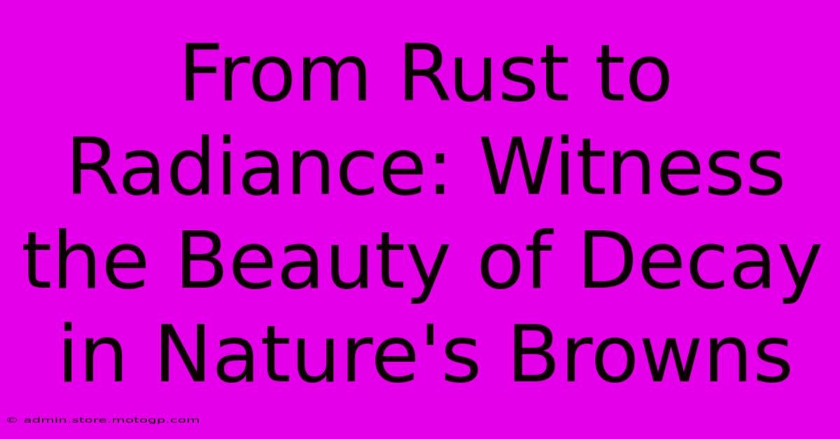 From Rust To Radiance: Witness The Beauty Of Decay In Nature's Browns