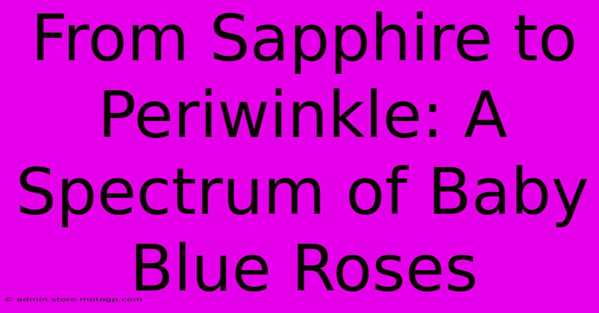 From Sapphire To Periwinkle: A Spectrum Of Baby Blue Roses