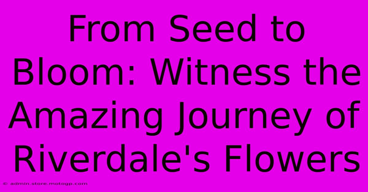 From Seed To Bloom: Witness The Amazing Journey Of Riverdale's Flowers