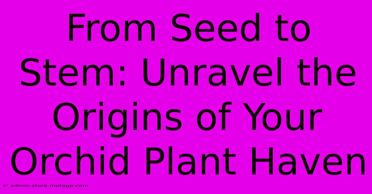 From Seed To Stem: Unravel The Origins Of Your Orchid Plant Haven