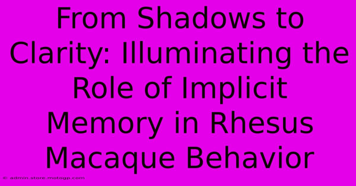 From Shadows To Clarity: Illuminating The Role Of Implicit Memory In Rhesus Macaque Behavior