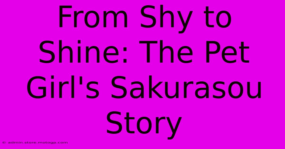 From Shy To Shine: The Pet Girl's Sakurasou Story