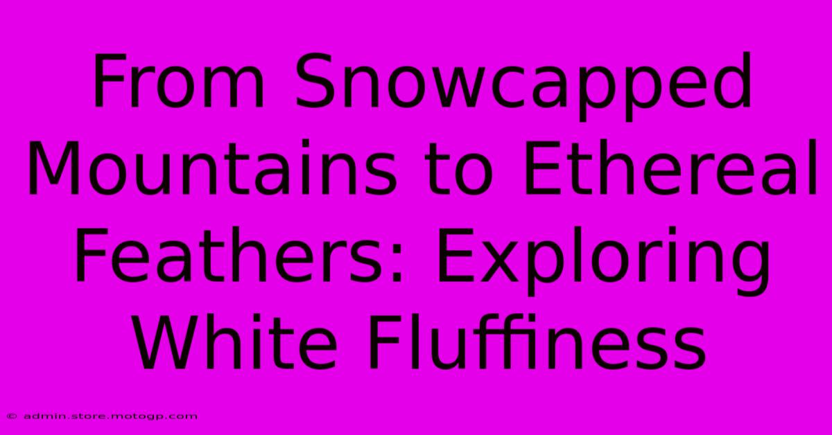 From Snowcapped Mountains To Ethereal Feathers: Exploring White Fluffiness