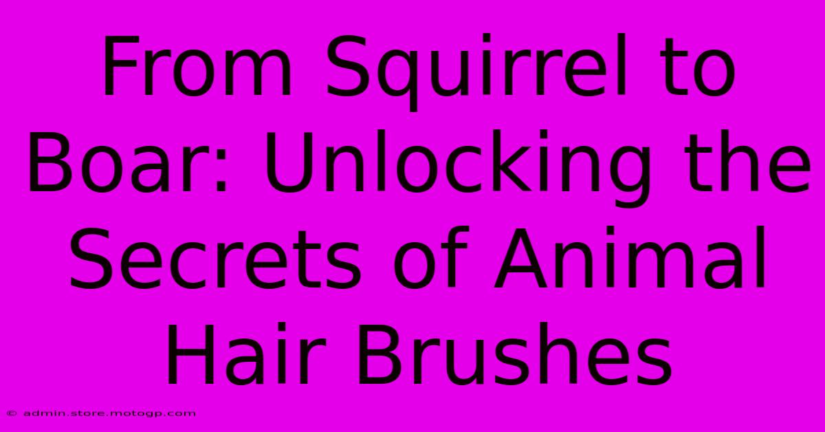 From Squirrel To Boar: Unlocking The Secrets Of Animal Hair Brushes