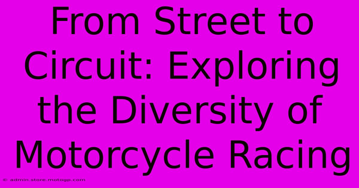 From Street To Circuit: Exploring The Diversity Of Motorcycle Racing