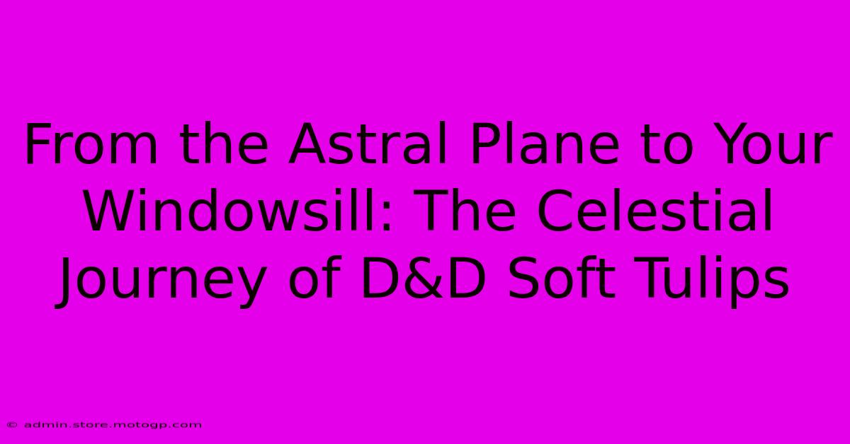 From The Astral Plane To Your Windowsill: The Celestial Journey Of D&D Soft Tulips