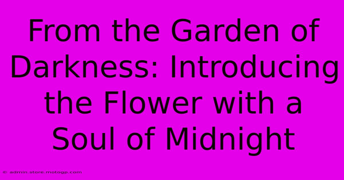 From The Garden Of Darkness: Introducing The Flower With A Soul Of Midnight