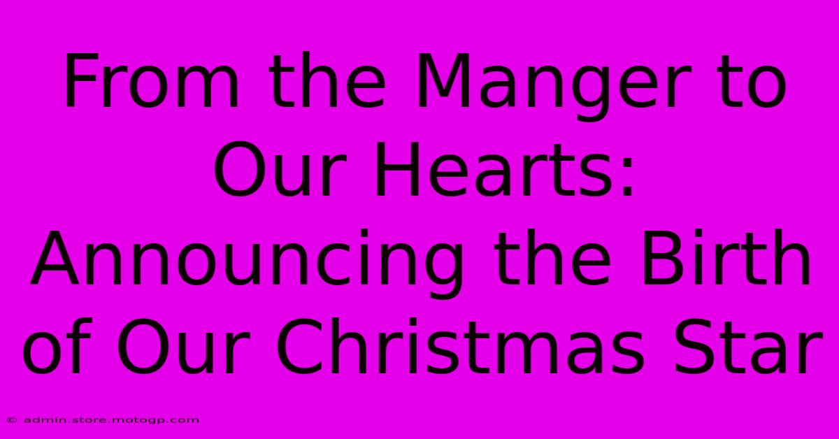 From The Manger To Our Hearts: Announcing The Birth Of Our Christmas Star