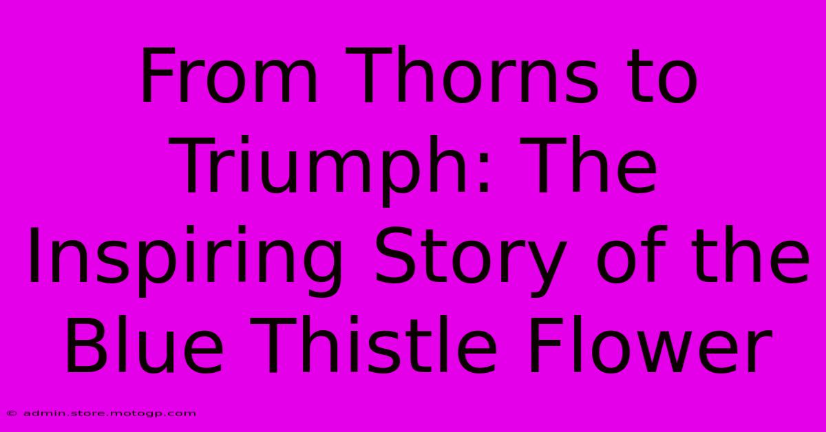 From Thorns To Triumph: The Inspiring Story Of The Blue Thistle Flower