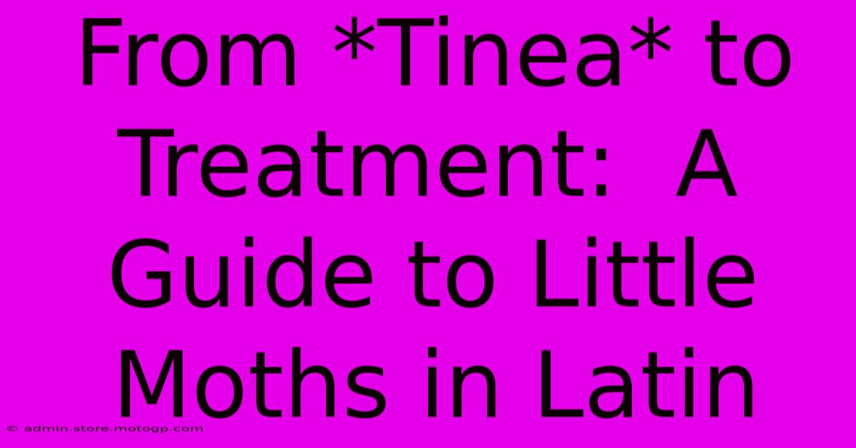 From *Tinea* To Treatment:  A Guide To Little Moths In Latin