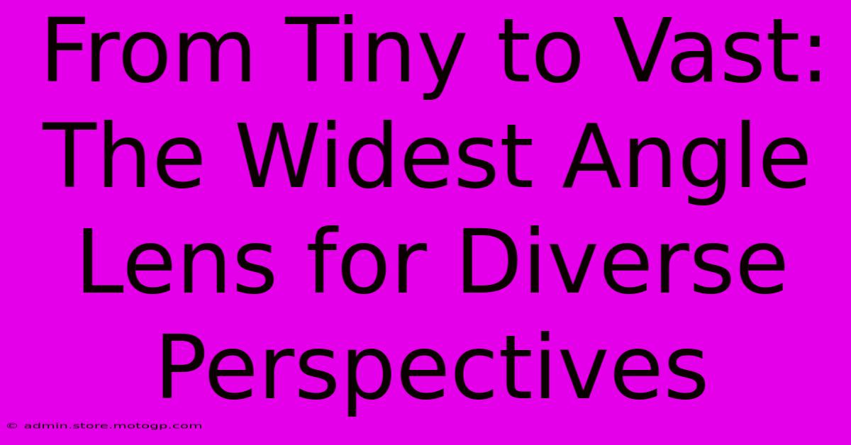 From Tiny To Vast: The Widest Angle Lens For Diverse Perspectives