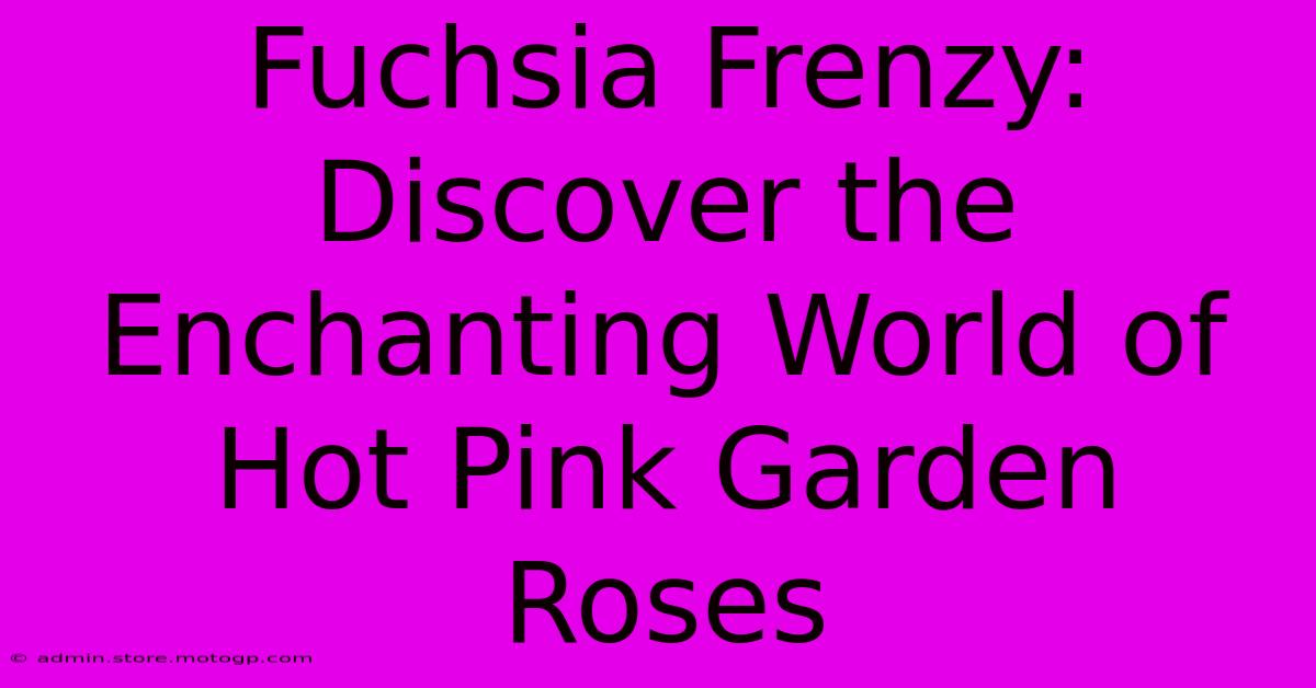 Fuchsia Frenzy: Discover The Enchanting World Of Hot Pink Garden Roses