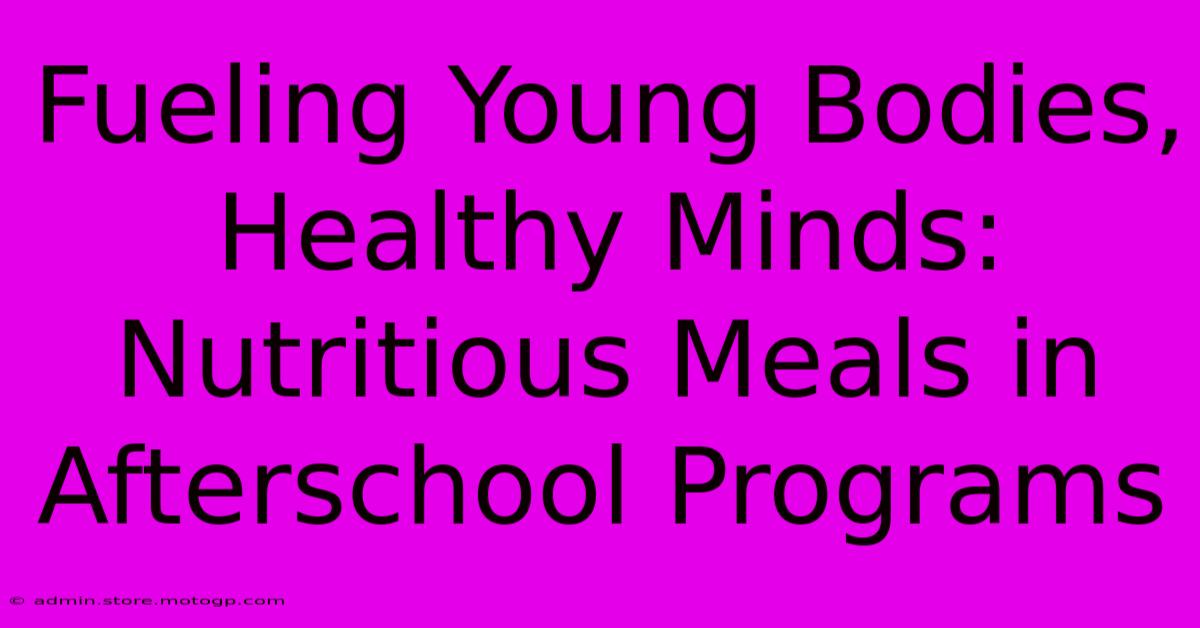 Fueling Young Bodies, Healthy Minds: Nutritious Meals In Afterschool Programs