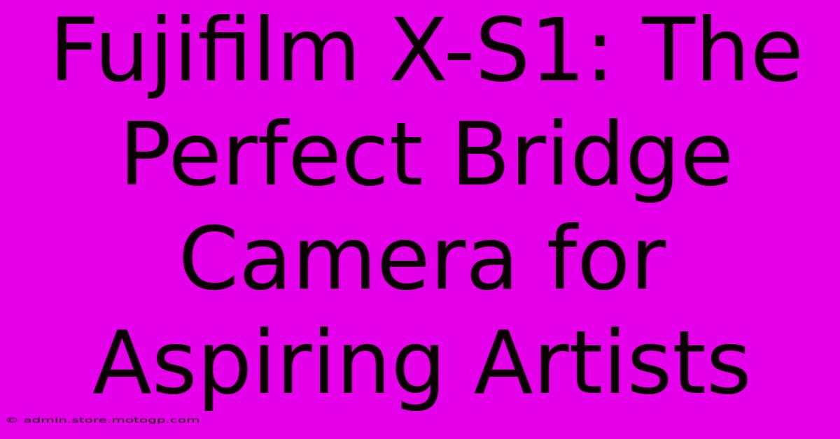 Fujifilm X-S1: The Perfect Bridge Camera For Aspiring Artists