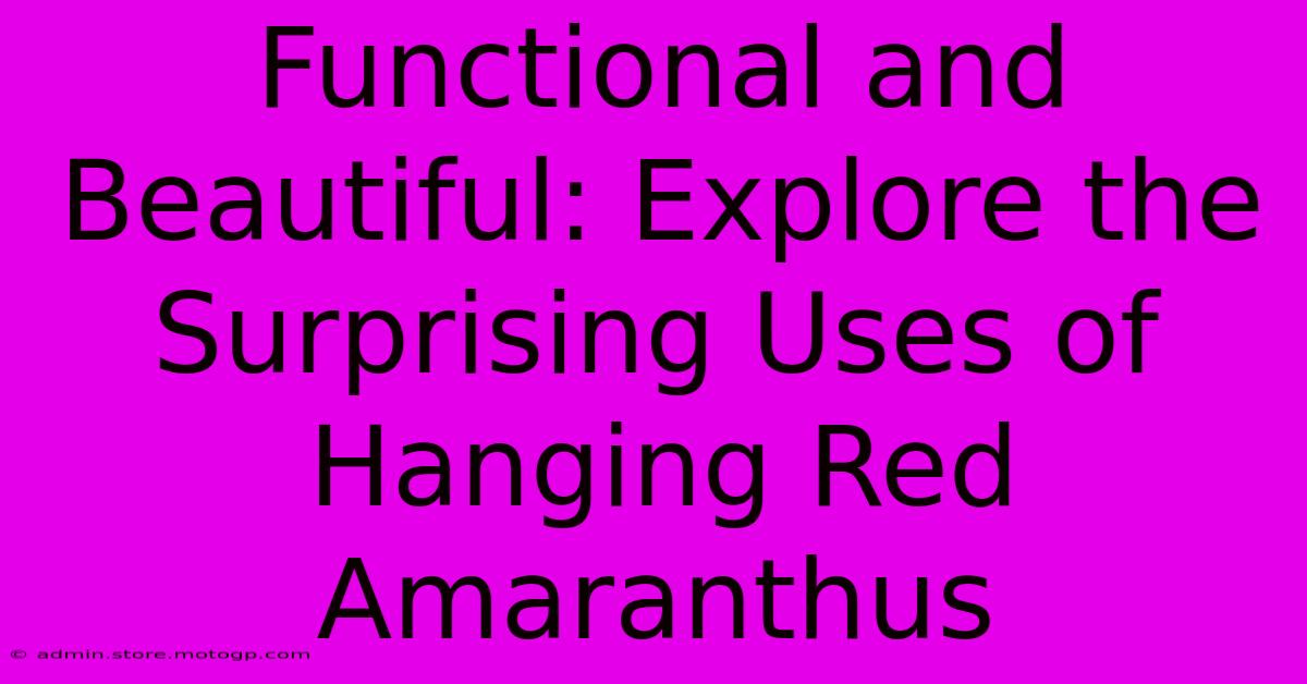 Functional And Beautiful: Explore The Surprising Uses Of Hanging Red Amaranthus