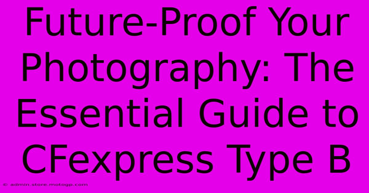 Future-Proof Your Photography: The Essential Guide To CFexpress Type B