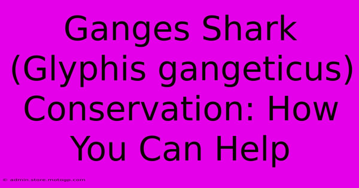 Ganges Shark (Glyphis Gangeticus) Conservation: How You Can Help