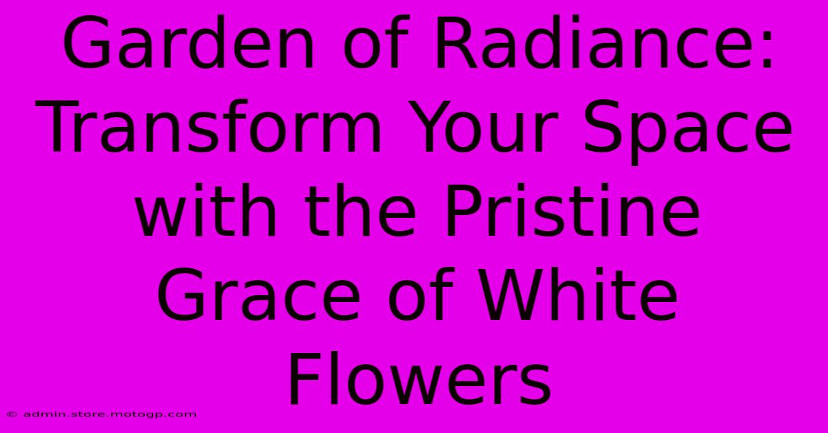 Garden Of Radiance: Transform Your Space With The Pristine Grace Of White Flowers