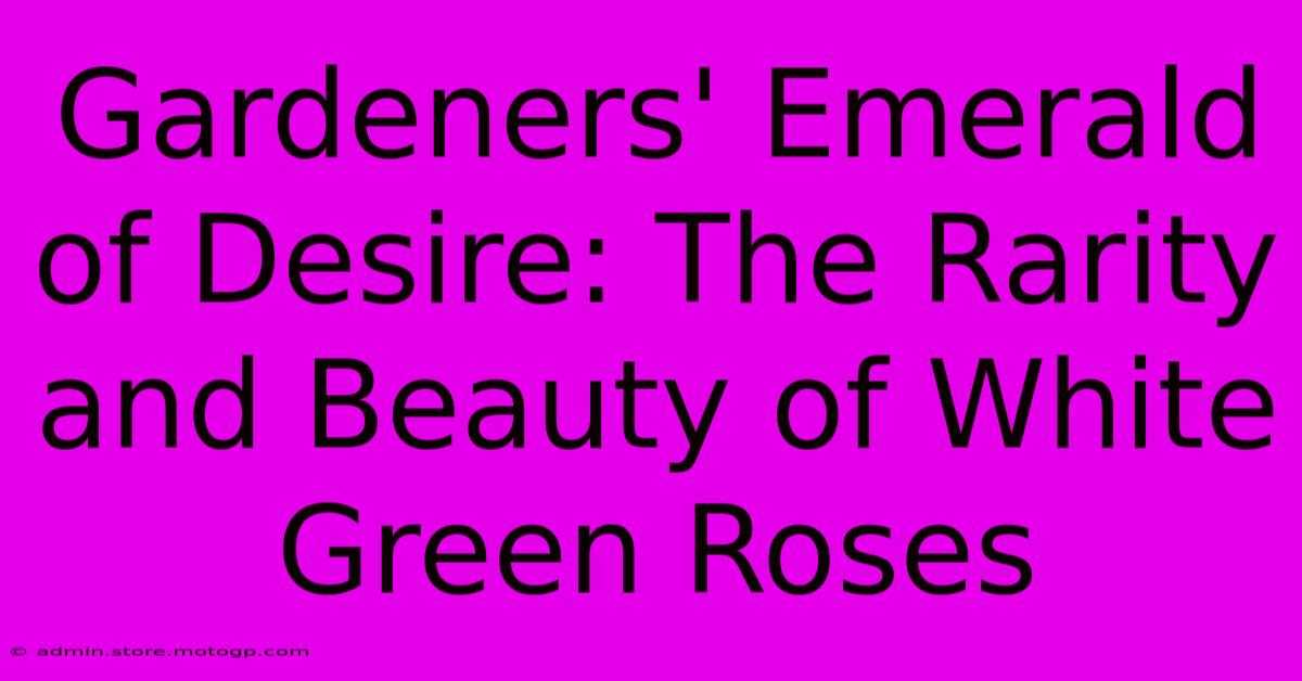 Gardeners' Emerald Of Desire: The Rarity And Beauty Of White Green Roses