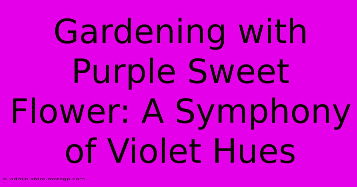 Gardening With Purple Sweet Flower: A Symphony Of Violet Hues