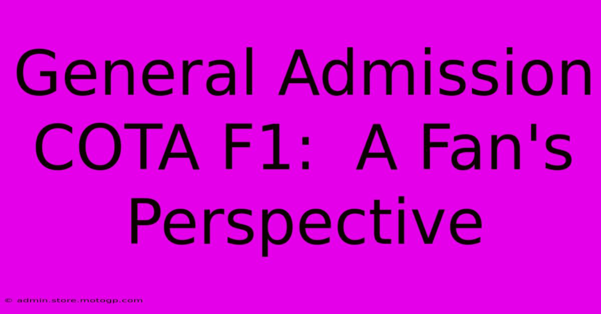 General Admission COTA F1:  A Fan's Perspective