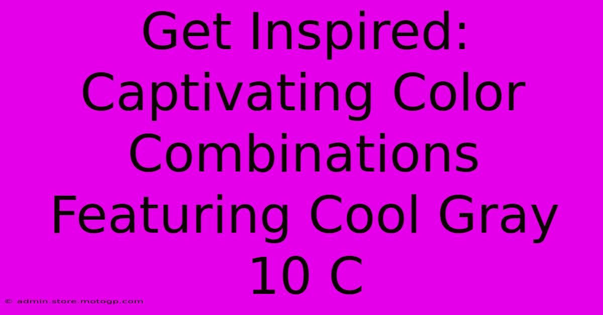 Get Inspired: Captivating Color Combinations Featuring Cool Gray 10 C