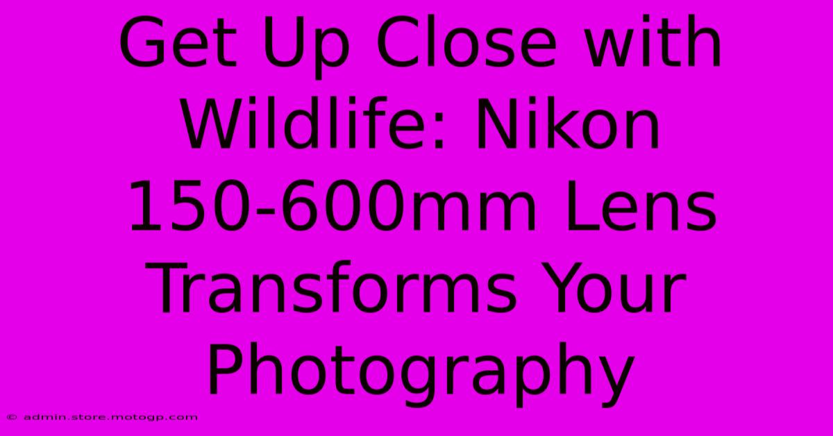 Get Up Close With Wildlife: Nikon 150-600mm Lens Transforms Your Photography