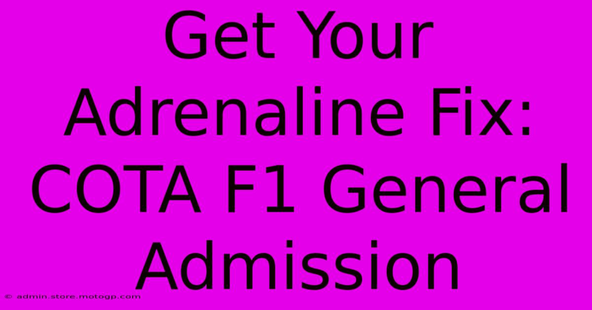 Get Your Adrenaline Fix: COTA F1 General Admission