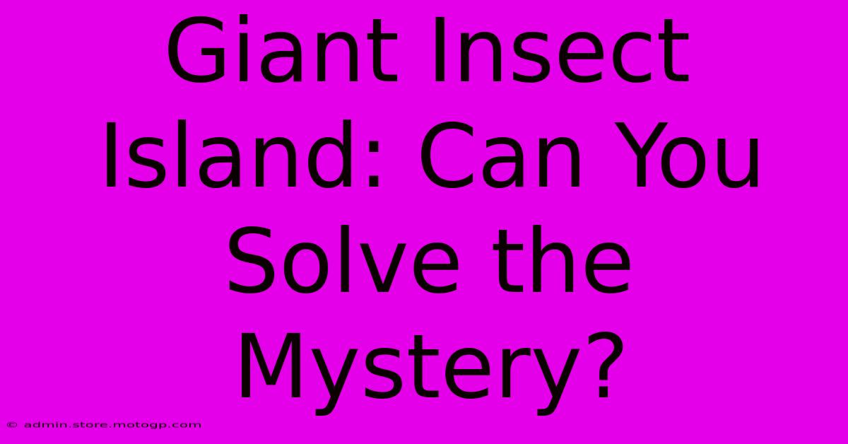 Giant Insect Island: Can You Solve The Mystery?