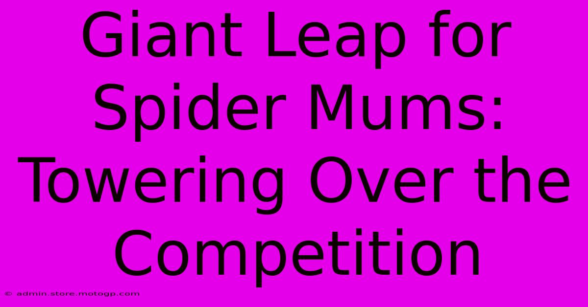 Giant Leap For Spider Mums: Towering Over The Competition