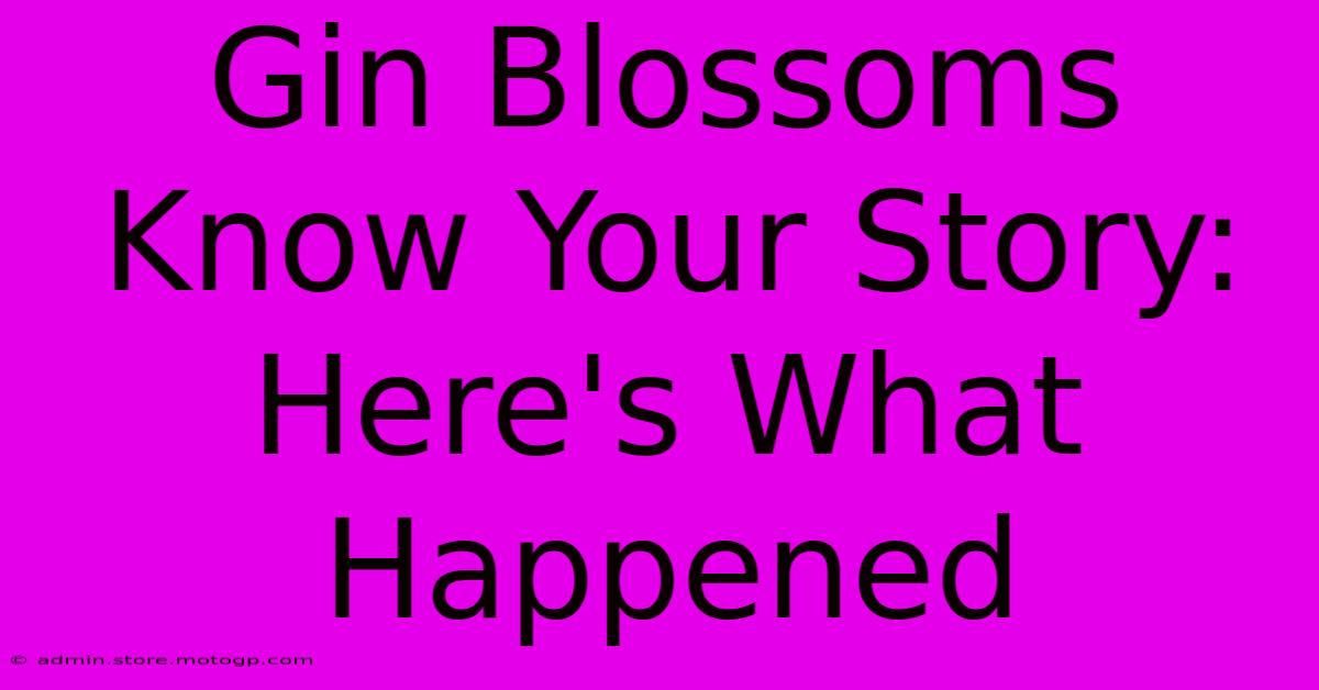 Gin Blossoms Know Your Story: Here's What Happened