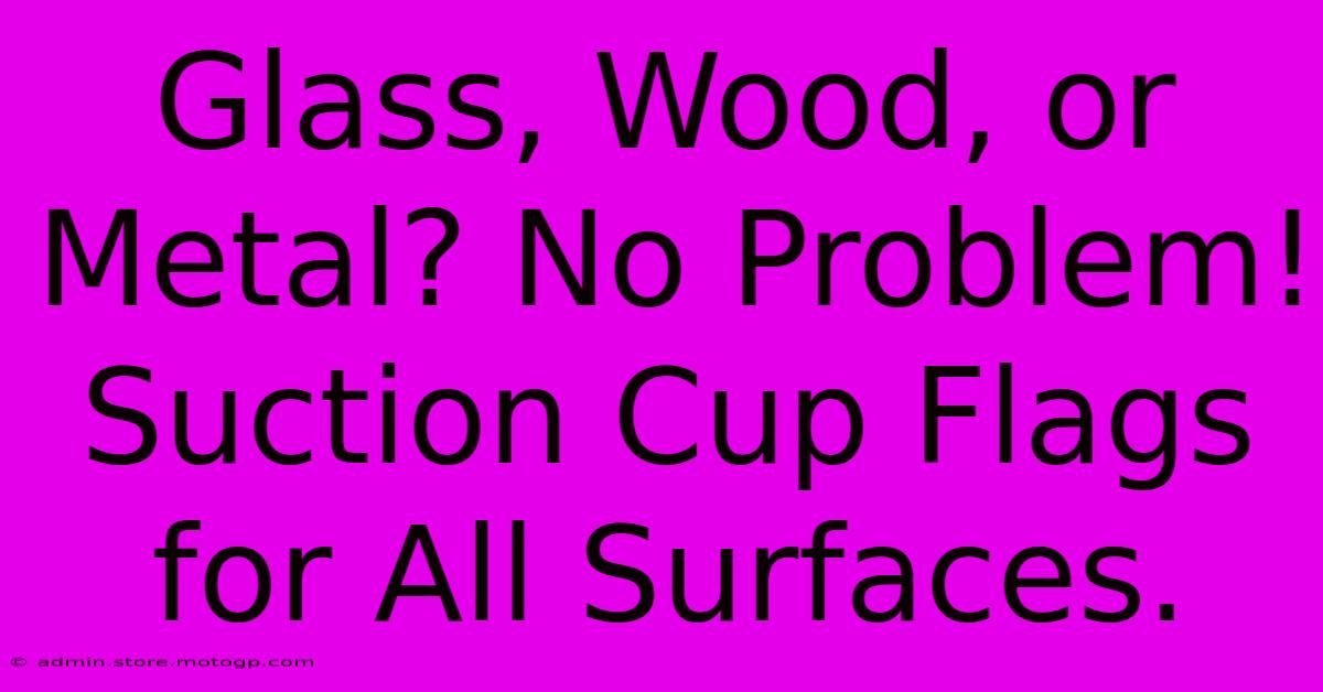 Glass, Wood, Or Metal? No Problem! Suction Cup Flags For All Surfaces.