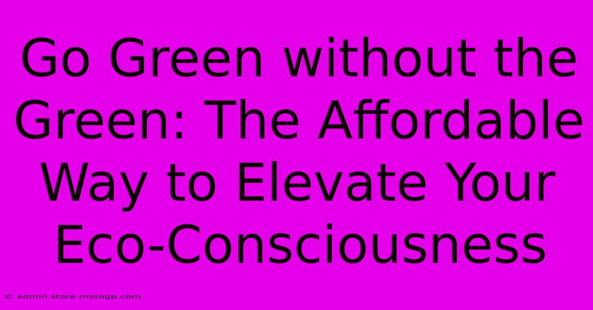 Go Green Without The Green: The Affordable Way To Elevate Your Eco-Consciousness