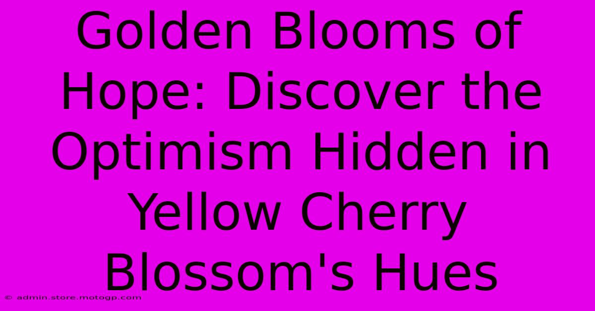 Golden Blooms Of Hope: Discover The Optimism Hidden In Yellow Cherry Blossom's Hues