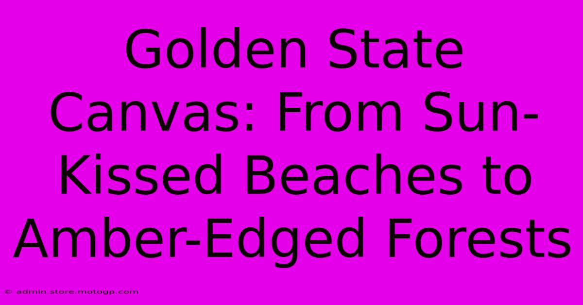 Golden State Canvas: From Sun-Kissed Beaches To Amber-Edged Forests