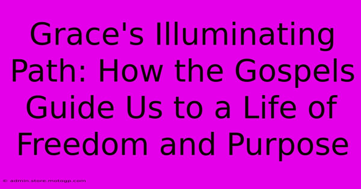 Grace's Illuminating Path: How The Gospels Guide Us To A Life Of Freedom And Purpose