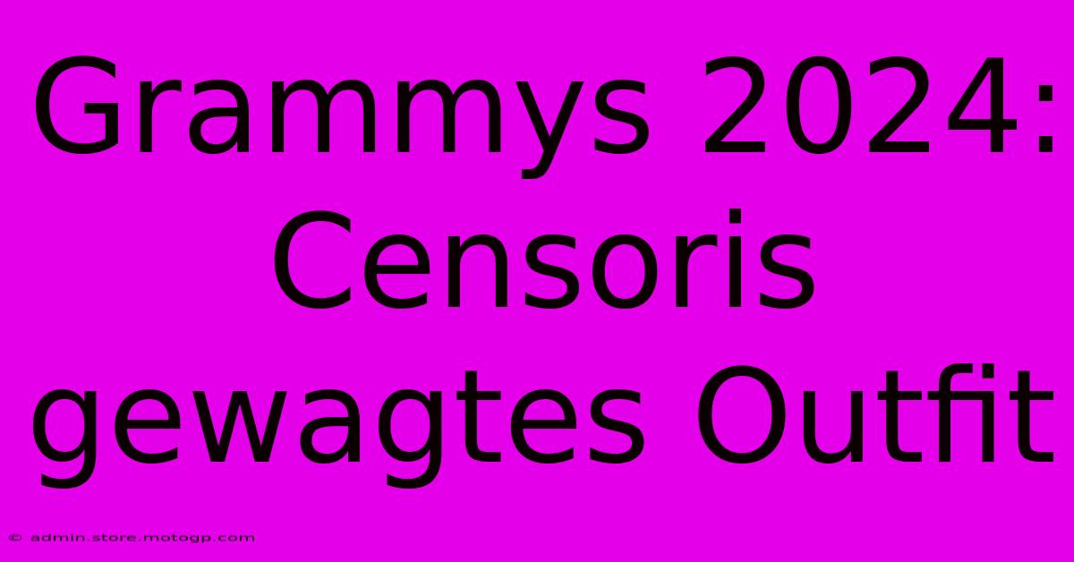 Grammys 2024: Censoris Gewagtes Outfit