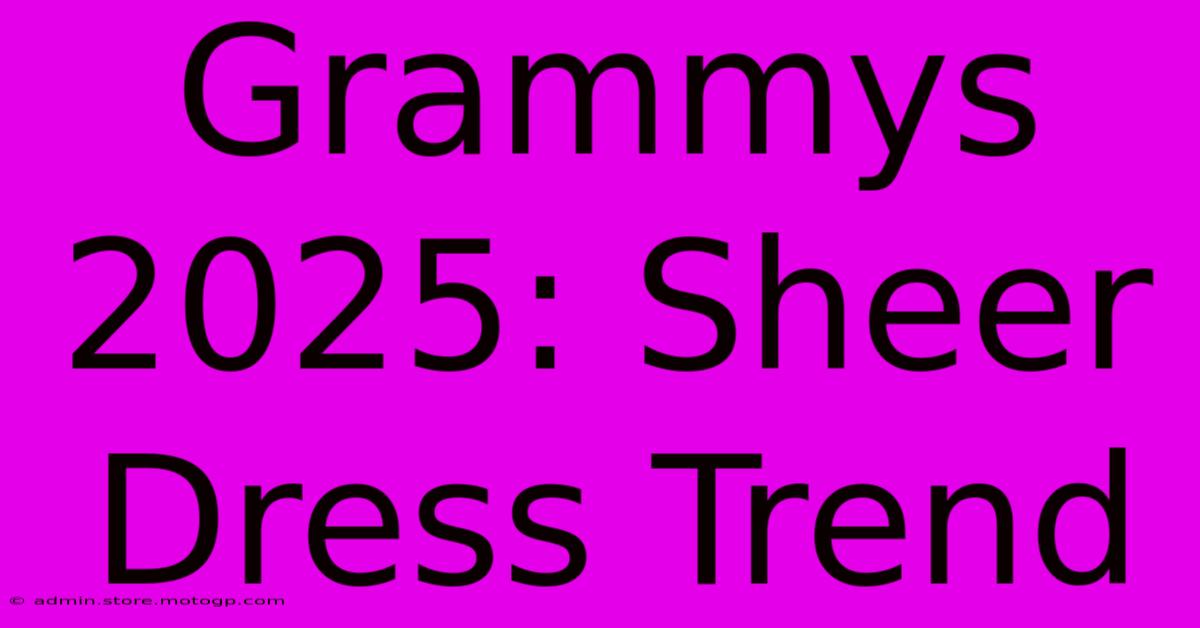 Grammys 2025: Sheer Dress Trend