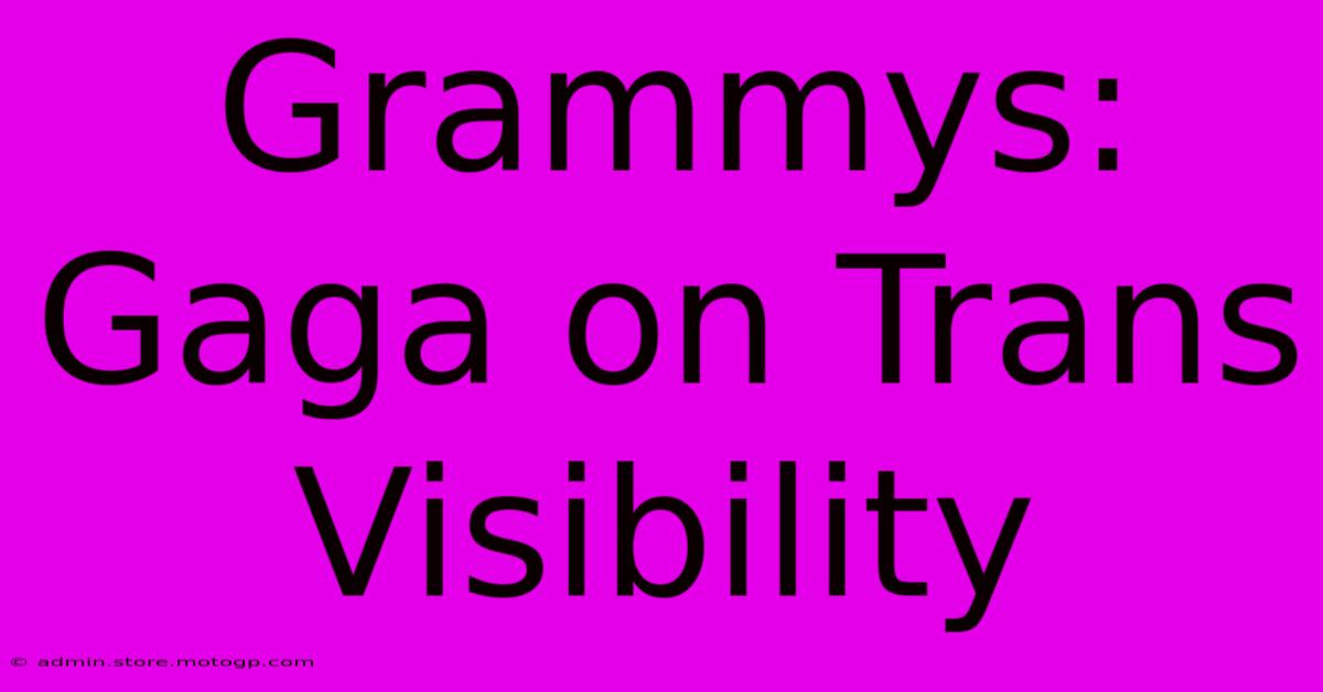 Grammys: Gaga On Trans Visibility