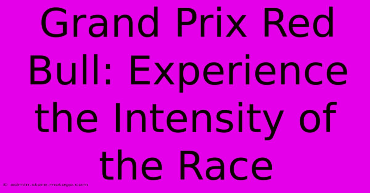 Grand Prix Red Bull: Experience The Intensity Of The Race