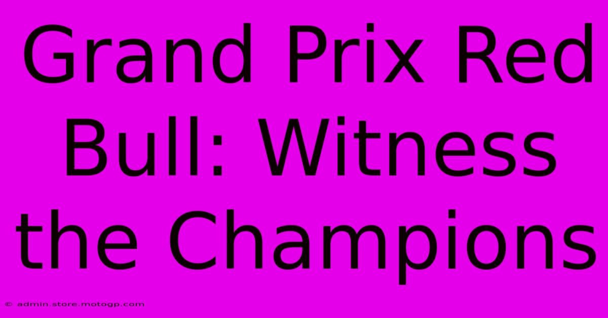 Grand Prix Red Bull: Witness The Champions