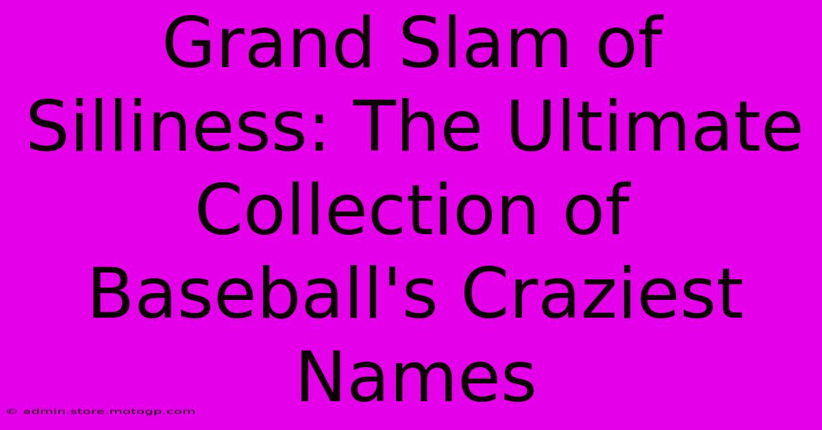 Grand Slam Of Silliness: The Ultimate Collection Of Baseball's Craziest Names