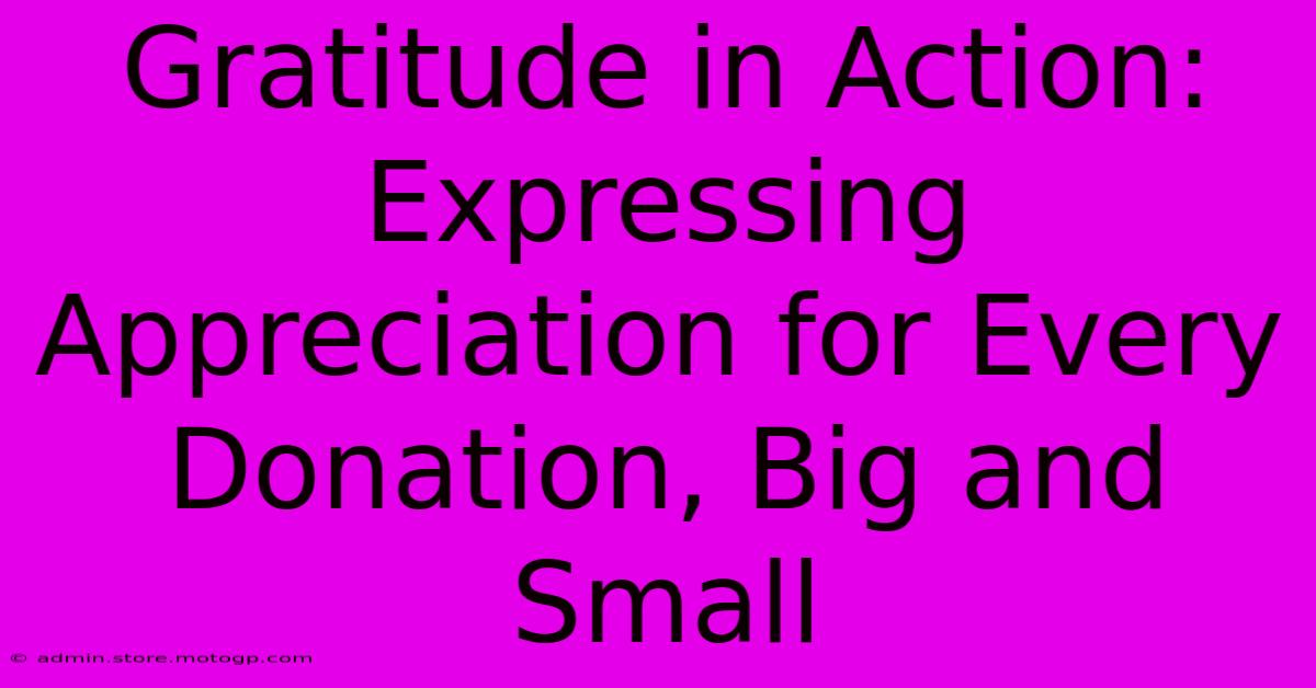 Gratitude In Action: Expressing Appreciation For Every Donation, Big And Small