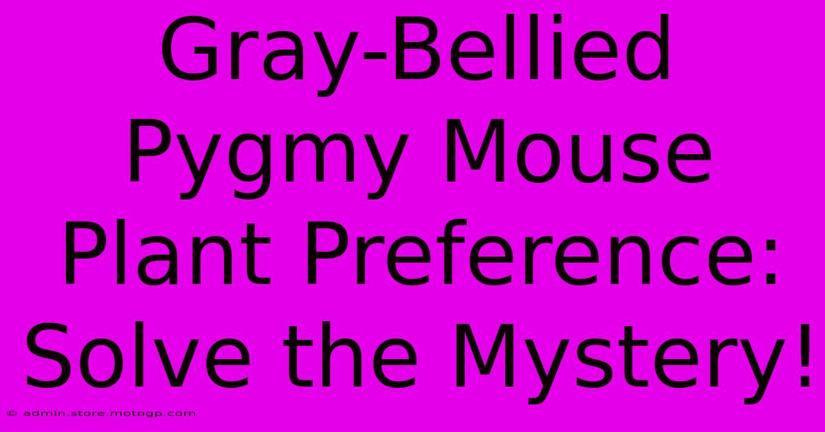 Gray-Bellied Pygmy Mouse Plant Preference: Solve The Mystery!